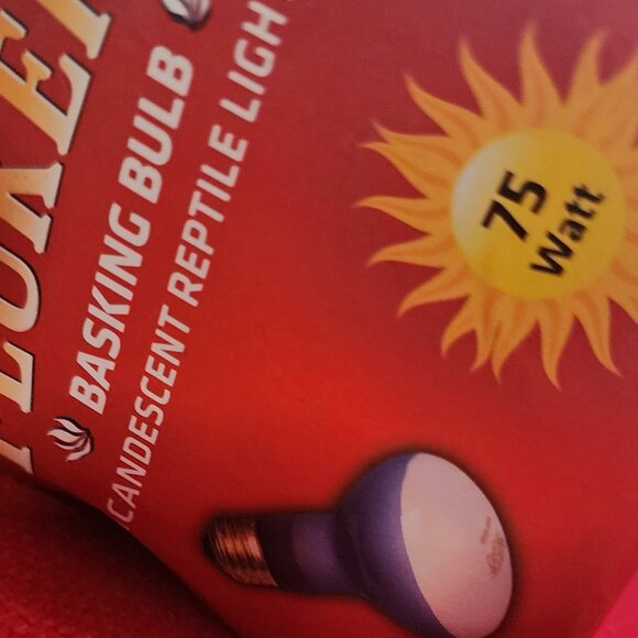 Fluker's 75W Incandescent Reptile Lighting Basking Bulb 120V 12"-18" Distance - Picture 16 of 16